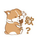 Corgi Pure - Cutie ＆ Lazy（個別スタンプ：12）