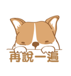 Corgi Pure - Cutie ＆ Lazy（個別スタンプ：13）