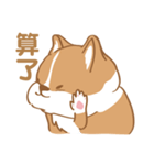 Corgi Pure - Cutie ＆ Lazy（個別スタンプ：15）