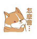 Corgi Pure - Cutie ＆ Lazy（個別スタンプ：18）