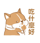 Corgi Pure - Cutie ＆ Lazy（個別スタンプ：19）