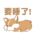 Corgi Pure - Cutie ＆ Lazy（個別スタンプ：21）