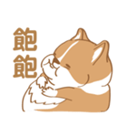 Corgi Pure - Cutie ＆ Lazy（個別スタンプ：24）