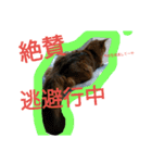 関西弁エースvo.3（個別スタンプ：1）
