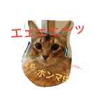 関西弁エースvo.3（個別スタンプ：3）