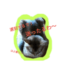 関西弁エースvo.3（個別スタンプ：4）