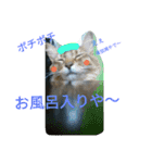 関西弁エースvo.3（個別スタンプ：5）