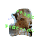 関西弁エースvo.3（個別スタンプ：7）