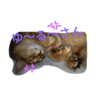 関西弁エースvo.3（個別スタンプ：8）