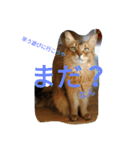 関西弁エースvo.3（個別スタンプ：9）