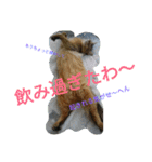 関西弁エースvo.3（個別スタンプ：10）