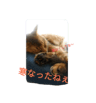 関西弁エースvo.3（個別スタンプ：12）