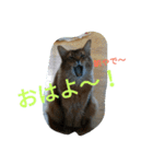 関西弁エースvo.3（個別スタンプ：13）