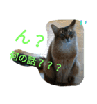 関西弁エースvo.3（個別スタンプ：14）