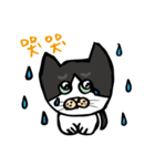 Daily of Dau Huei（個別スタンプ：6）