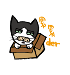 Daily of Dau Huei（個別スタンプ：13）