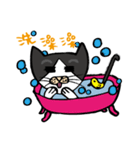 Daily of Dau Huei（個別スタンプ：14）