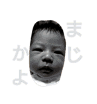 にぎやか 二人組（個別スタンプ：11）
