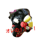 to tosa（個別スタンプ：5）