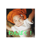 直太郎スタンプ（個別スタンプ：15）