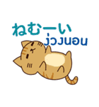 猫 : ラブラブの冬（個別スタンプ：30）