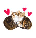 mylovenyans（個別スタンプ：1）