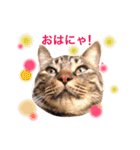 mylovenyans（個別スタンプ：2）
