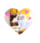 mylovenyans（個別スタンプ：3）