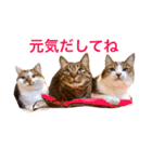 mylovenyans（個別スタンプ：4）