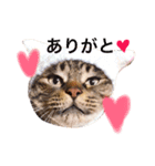 mylovenyans（個別スタンプ：5）