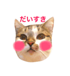 mylovenyans（個別スタンプ：7）