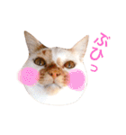 mylovenyans（個別スタンプ：12）