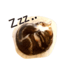 mylovenyans（個別スタンプ：18）
