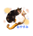 mylovenyans（個別スタンプ：24）