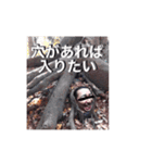 おさげのアナン君（個別スタンプ：12）