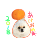 モカコロ（個別スタンプ：3）