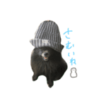 モカコロ（個別スタンプ：8）