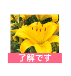 花と光を添えて（個別スタンプ：9）