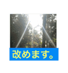 花と光を添えて（個別スタンプ：13）