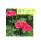 花と光を添えて（個別スタンプ：19）