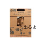 わさびより（個別スタンプ：13）