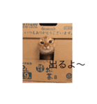 わさびより（個別スタンプ：14）