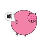 Pig Pig funny（個別スタンプ：1）