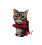 T.Baron（個別スタンプ：1）