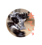 T.Baron（個別スタンプ：7）