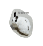 circle＆little（個別スタンプ：2）