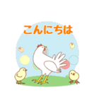 鶏の挨拶スタンプ（個別スタンプ：2）