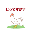 鶏の挨拶スタンプ（個別スタンプ：7）