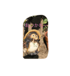 ボタンさん1（個別スタンプ：2）