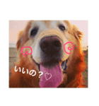 mydoglove（個別スタンプ：2）